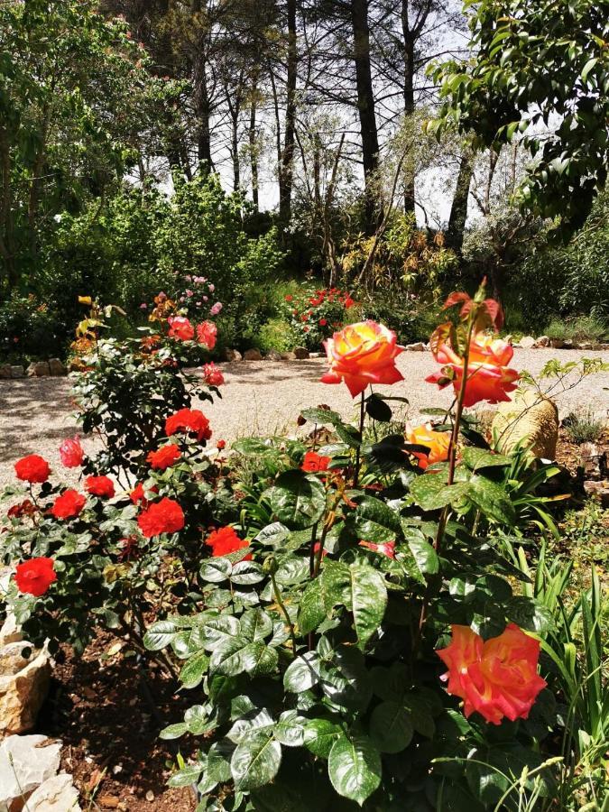 La Maison Du Soleil Provence ドラギニャン エクステリア 写真