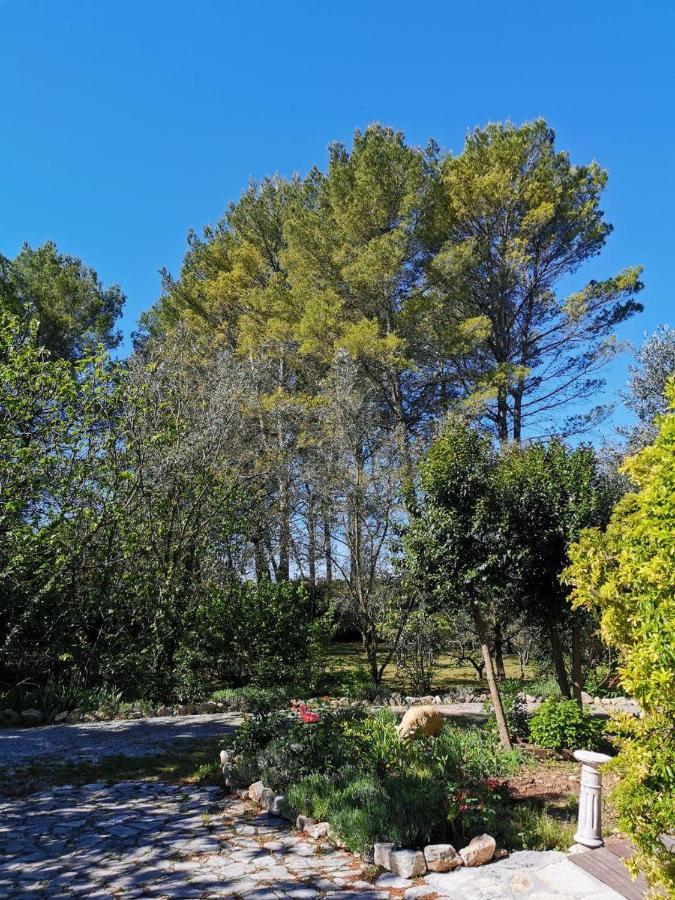 La Maison Du Soleil Provence ドラギニャン エクステリア 写真