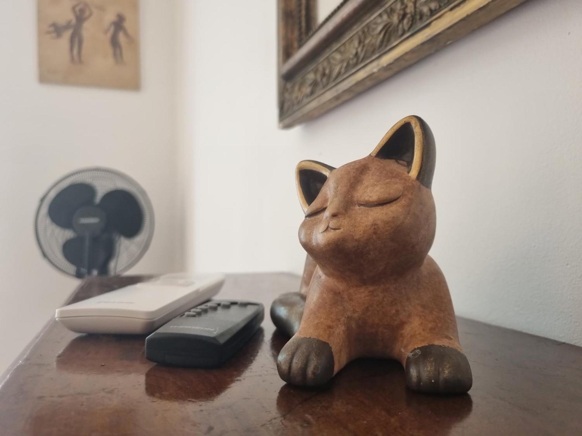 La Maison Du Soleil Provence ドラギニャン エクステリア 写真